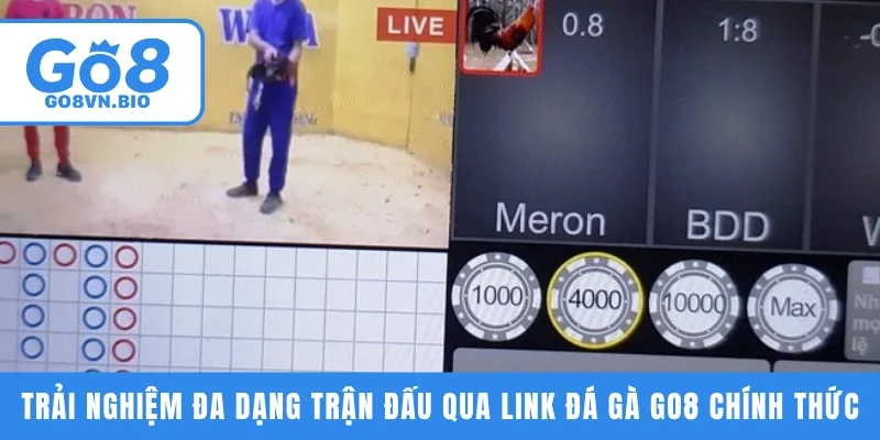 Trải nghiệm đa dạng trận đấu qua link đá gà GO8 chính thức